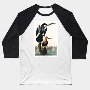 Black-bellied Darter from Birds of America (1827) Baseball T-Shirt